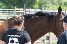 LR-WRF 762025 Retreat-1954